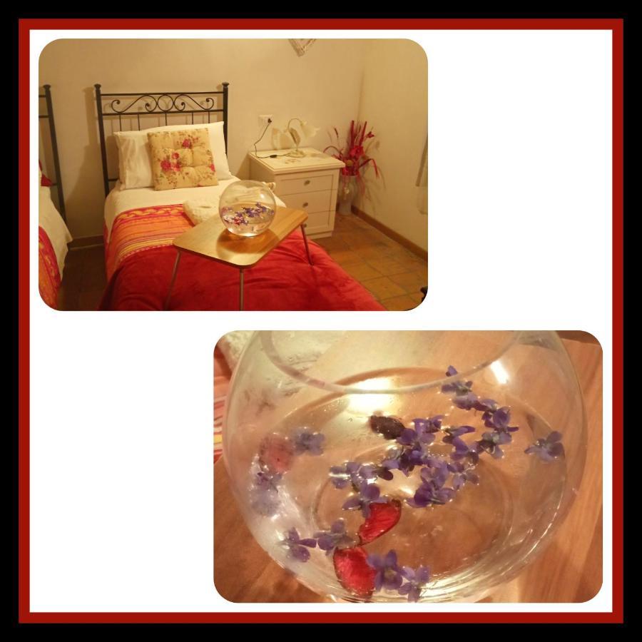 Bed and Breakfast Felix House Codevilla Экстерьер фото